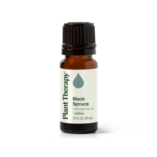[Instock] Spruce Black - 10ml