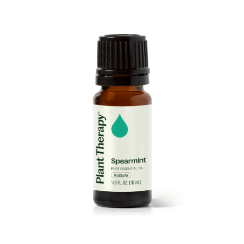[Instock] Spearmint - 10ml
