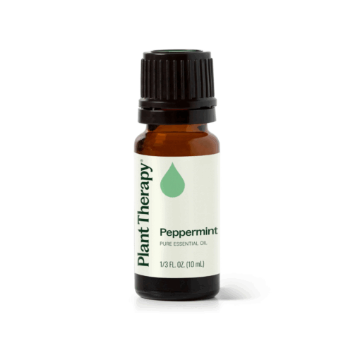 [Instock] Peppermint - 10ml