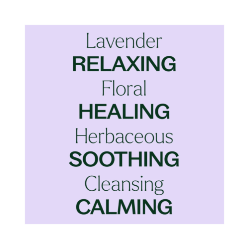 [Instock] Lavender - 10ml - Image 3