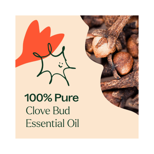 [Pre-order] Coffee - 10ml - Image 6