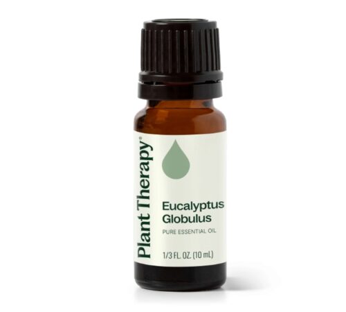 [Instock] Eucalyptus Globulus - 10ml