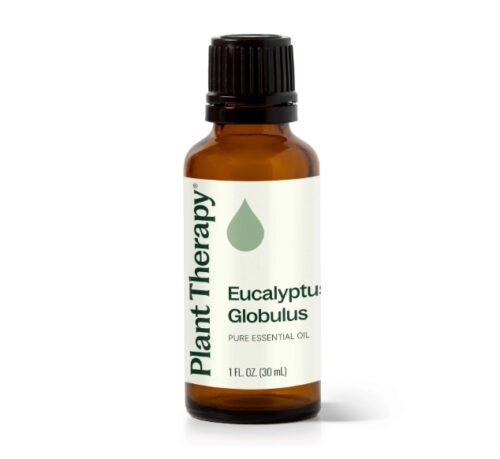 [Instock] Eucalyptus Globulus - 30ml