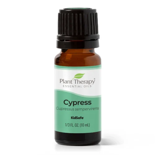 [Instock] Cypress - 10ml