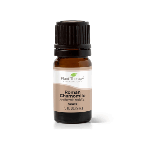 [Pre-order] Chamomile Roman - 5ml