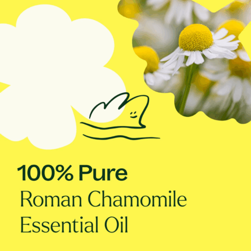 [Instock] Chamomile Roman - 10ml - Image 2