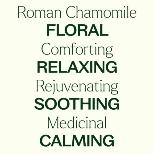 [Instock] Chamomile Roman - 10ml - Image 3