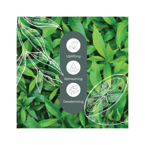 [Pre-order] Lemon Scented Tea Tree Eo - 10ml - Image 3