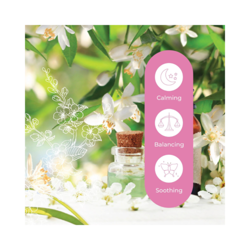 [Pre-order] Dai Dai Flower - 2.5ml - Image 3